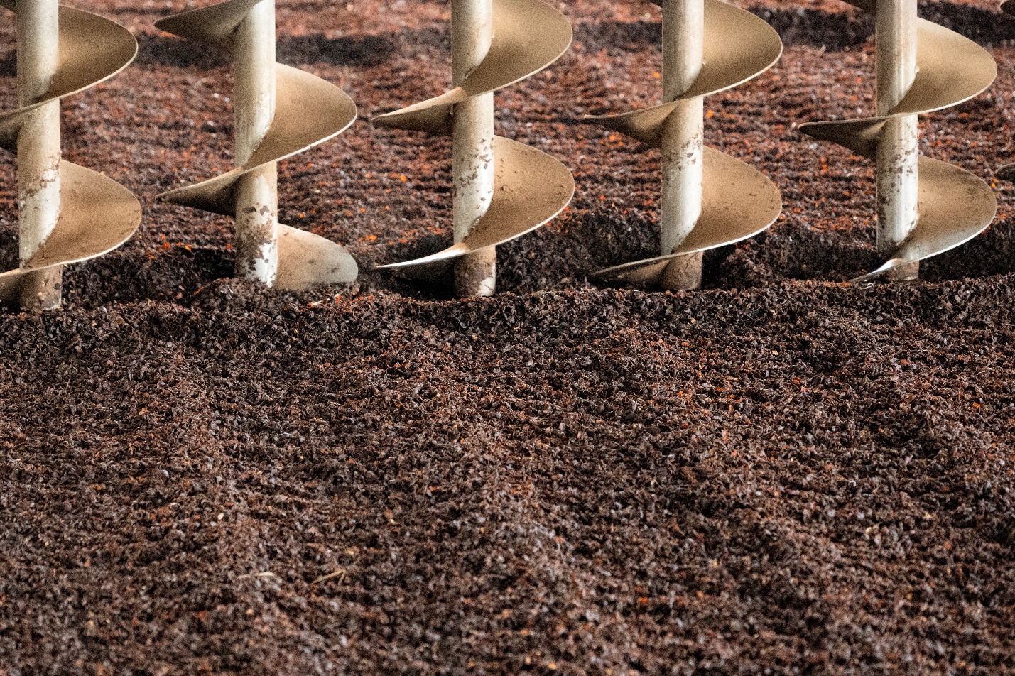 Giải mã những hiểu lầm và khám phá giá trị độc đáo của siêu phẩm Trà Cascara - Ảnh 3.