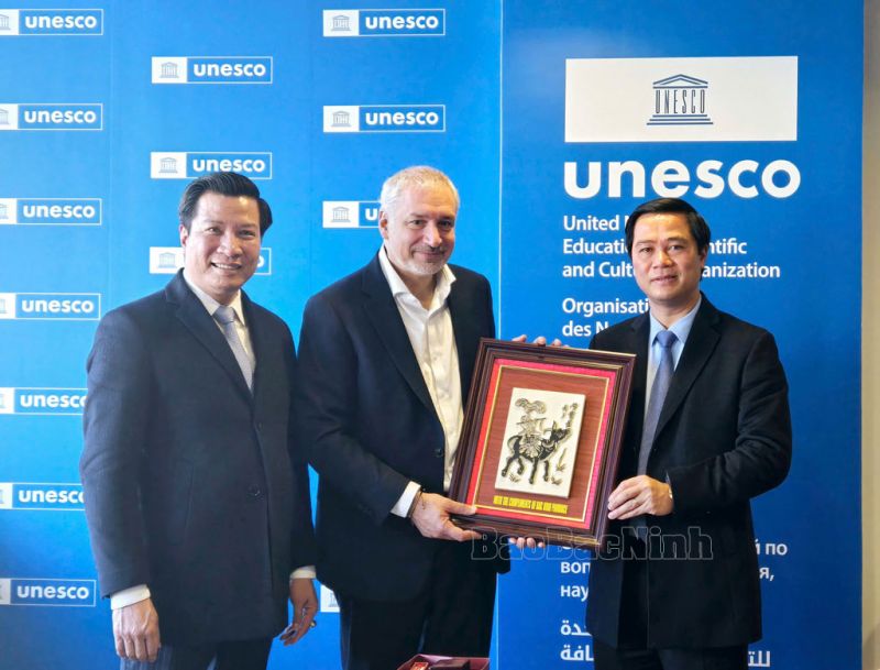 UNESCO đánh giá cao công tác chuẩn bị Hồ sơ di sản Tranh dân gian Đông Hồ - Ảnh 2.