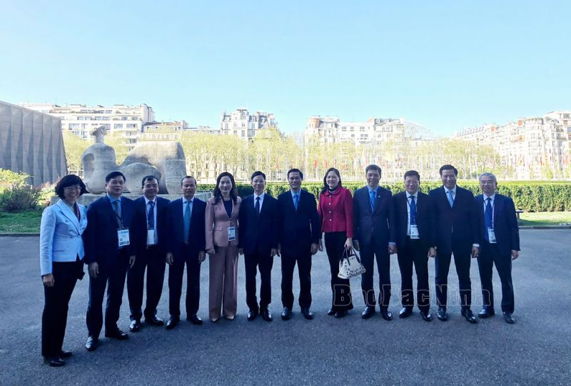 UNESCO đánh giá cao công tác chuẩn bị Hồ sơ di sản Tranh dân gian Đông Hồ - Ảnh 3.