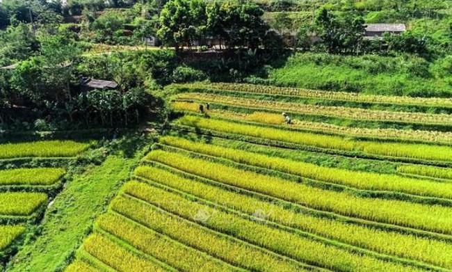 Hòa Bình: Du lịch cộng đồng - hướng đi chiến lược tạo nguồn thu bền vững - Ảnh 2.