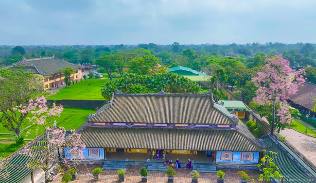 Mê mẩn với "vương giả chi hoa" khoe sắc rực rỡ ở Đại nội Huế - Ảnh 16.