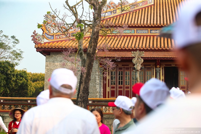 Mê mẩn với "vương giả chi hoa" khoe sắc rực rỡ ở Đại nội Huế - Ảnh 12.