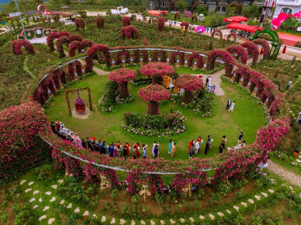 Vô vàn trải nghiệm thú vị tại Lễ hội hoa hồng lớn nhất Việt Nam dịp 30/4-1/5 - Ảnh 1.