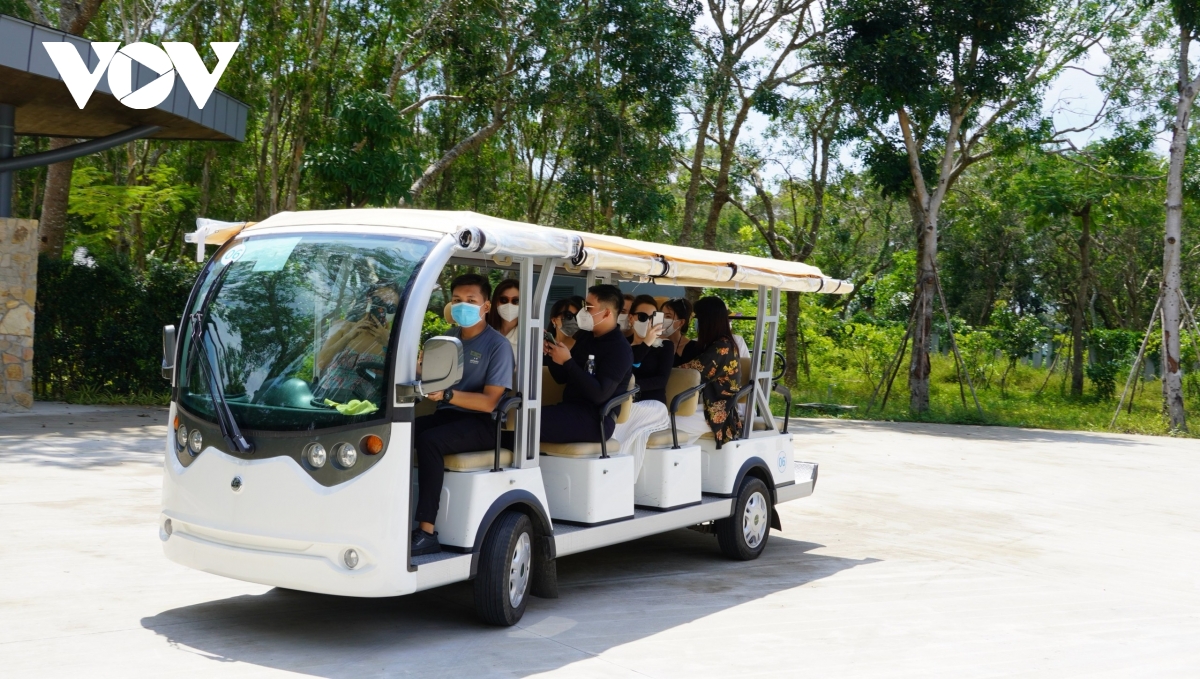 Du lịch sẽ là ngành kinh tế trụ cột của Bà Rịa - Vũng Tàu - Ảnh 4.