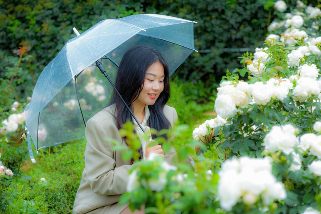 Sa Pa tấp nập khách đến du ngoạn Lễ hội Hoa hồng Fansipan - Ảnh 9.