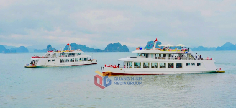 Ngành Du lịch Quảng Ninh bứt tốc đón vận hội mới - Ảnh 3.