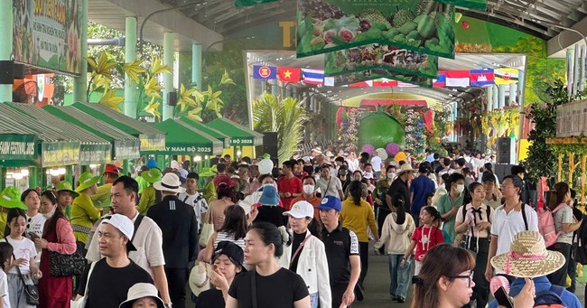 Lễ hội Trái cây Nam bộ năm 2025: Điểm đến đặc biệt tại TP.HCM dịp hè - Ảnh 2.