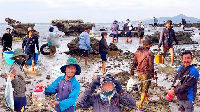 Đưa du lịch Ninh Thuận trở thành ngành kinh tế bền vững - Ảnh 1.