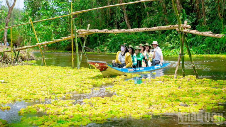 Cần Thơ: Phát triển du lịch bền vững gắn với bảo tồn thiên nhiên - Ảnh 2.