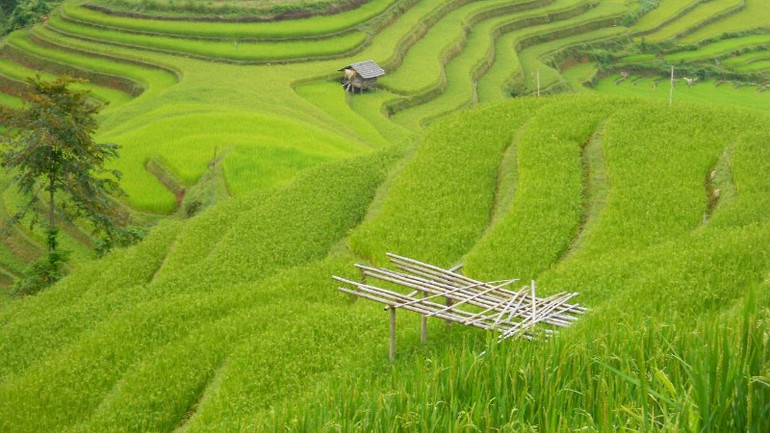 Luật Quảng cáo sửa đổi và kỳ vọng mới - Ảnh 2.