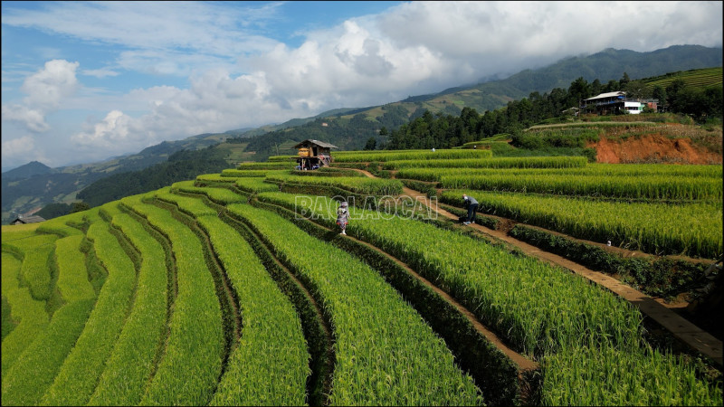 Giải Marathon Mù Cang Chải Ultra trail năm 2025: Cơ hội quảng bá du lịch Mù Cang Chải (Lào Cai) - Ảnh 7.