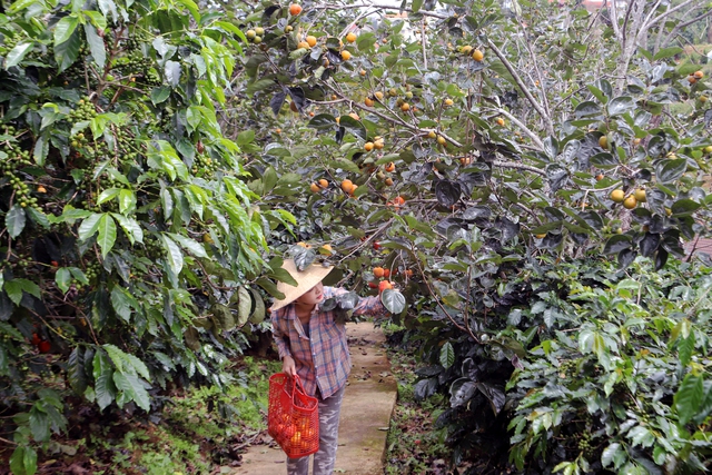 Lâm Đồng đẩy mạnh công tác giảm nghèo bền vững gắn với phát triển văn hóa, du lịch  - Ảnh 2.