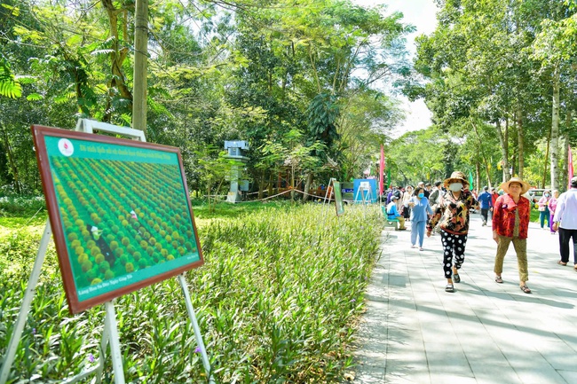 Đồng Tháp triển khai đồng bộ và hiệu quả pháp luật bảo hộ về quyền tác giả, quyền liên quan - Ảnh 2.