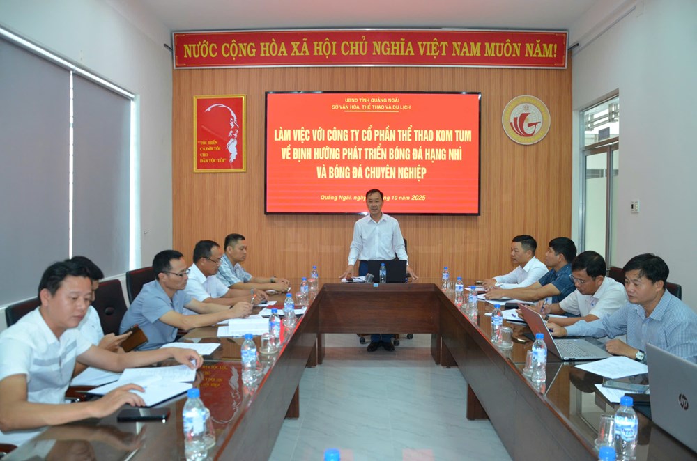 Quảng Ngãi định hướng phát triển bóng đá hạng Nhì và bóng đá chuyên nghiệp - Ảnh 1.