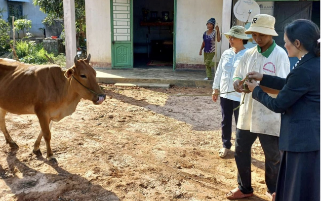 Xây dựng hệ thống an sinh xã hội toàn diện góp phần giảm nghèo bền vững - Ảnh 1.