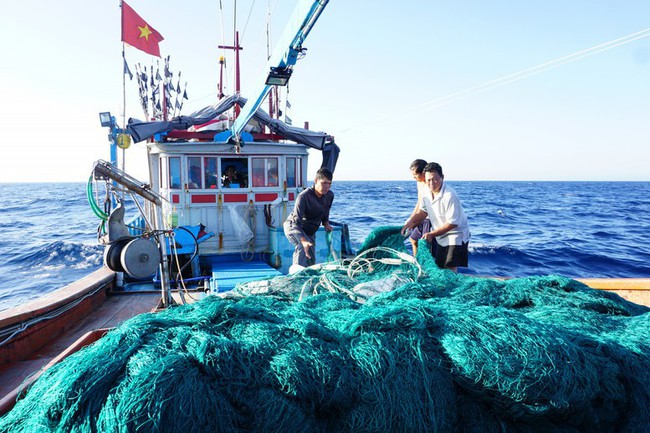 Truyền thông cao điểm chống khai thác hải sản bất hợp pháp, không theo quy định và phát triển bền vững ngành thủy sản Việt Nam - Ảnh 1.