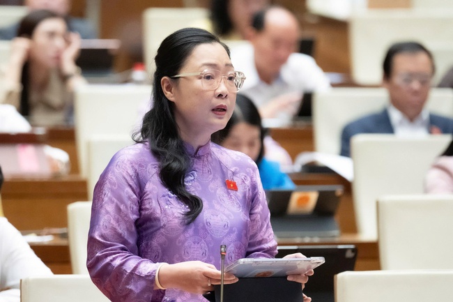 Đại biểu Quốc hội: Văn hóa và du lịch không chỉ là ngành kinh tế dịch vụ mà còn là sức mạnh mềm thúc đẩy Việt Nam trên trường quốc tế - Ảnh 2.