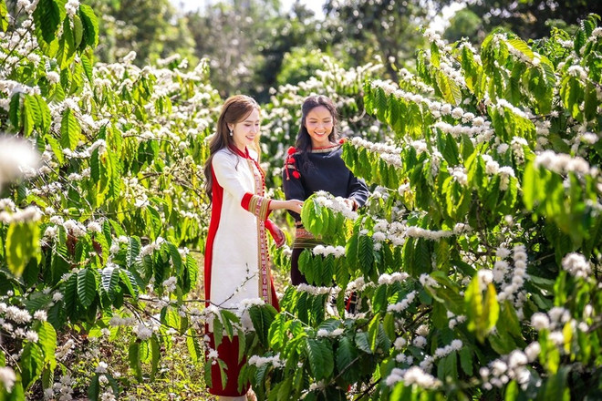 Bảo tồn văn hóa bản địa: Tạo sinh kế du lịch bền vững cho đồng bào thiểu số - Ảnh 6.