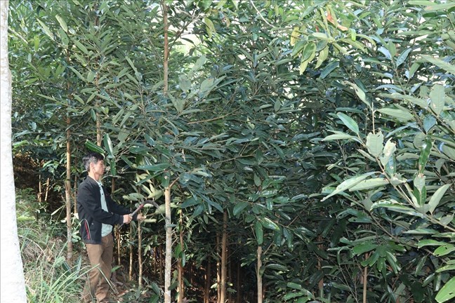 Lạng Sơn: Đẩy mạnh bảo tồn, phát huy giá trị văn hóa, cảnh quan thiên nhiên, tạo sinh kế cho đồng bào dân tộc thiểu số thoát nghèo - Ảnh 2.