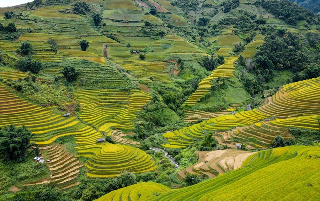 Di tích Quốc gia đặc biệt Ruộng bậc thang Mù Cang Chải - Nét văn hóa đặc sắc vùng cao - Ảnh 4.