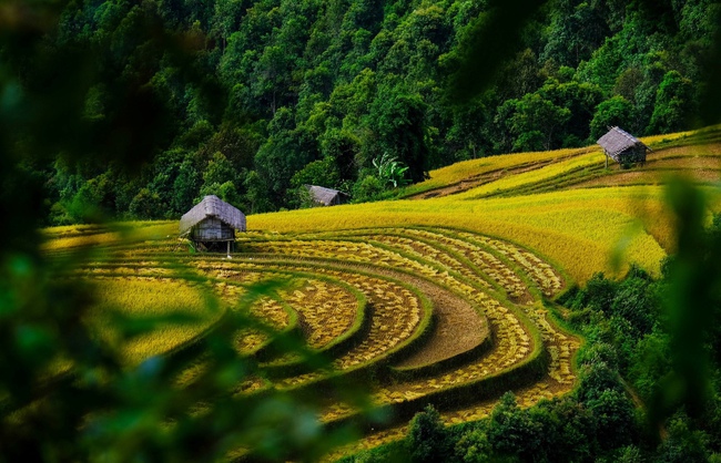 Di tích Quốc gia đặc biệt Ruộng bậc thang Mù Cang Chải - Nét văn hóa đặc sắc vùng cao - Ảnh 5.
