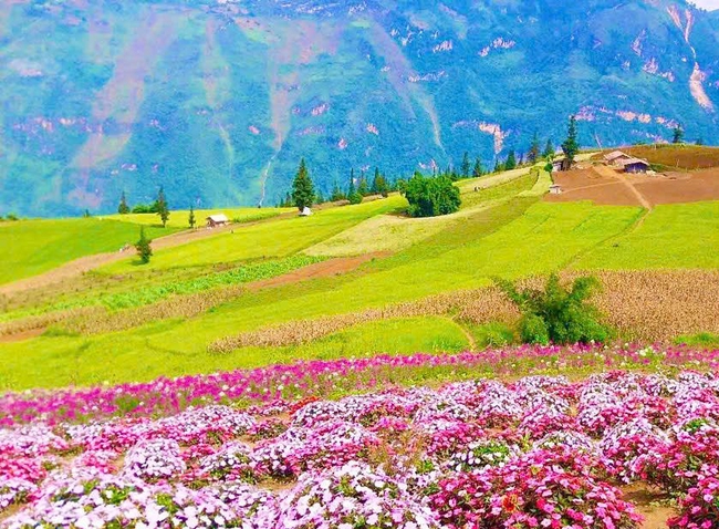 Tuyên Quang: Gắn phát triển du lịch sinh thái với bảo tồn bản sắc văn hóa dân tộc tại thôn Suôi Thầu - Ảnh 1.