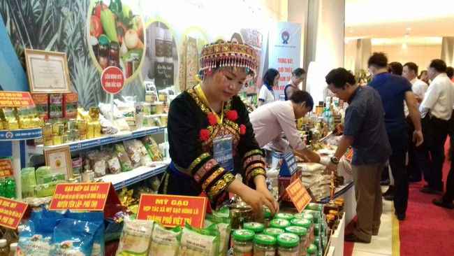 Đổi mới sáng tạo – động lực thúc đẩy kinh tế miền núi và vùng dân tộc thiểu số bứt phá - Ảnh 2.