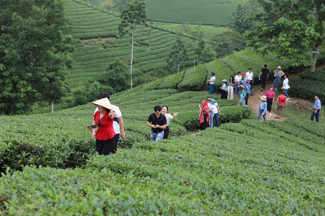 Giữ lửa nghề xao chè bằng tay của người Mường Long Cốc, hành trình làm chè sạch gắn với bảo tồn văn hóa và phát triển du lịch bền vững - Ảnh 9.