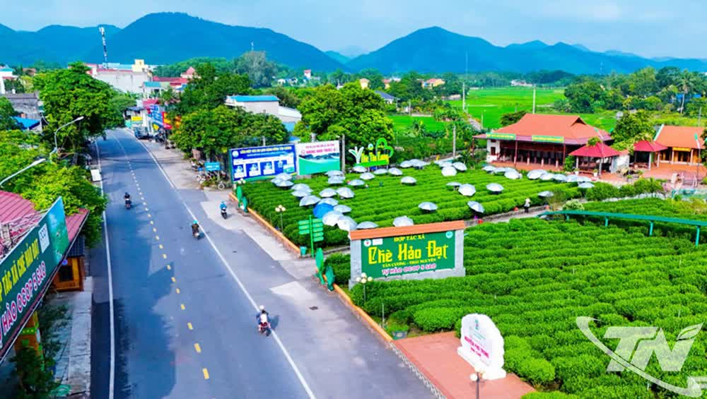 Lễ hội “Thái Nguyên - Hương sắc danh trà 2025”: Bản hòa ca của trà, văn hóa và du lịch - Ảnh 2.