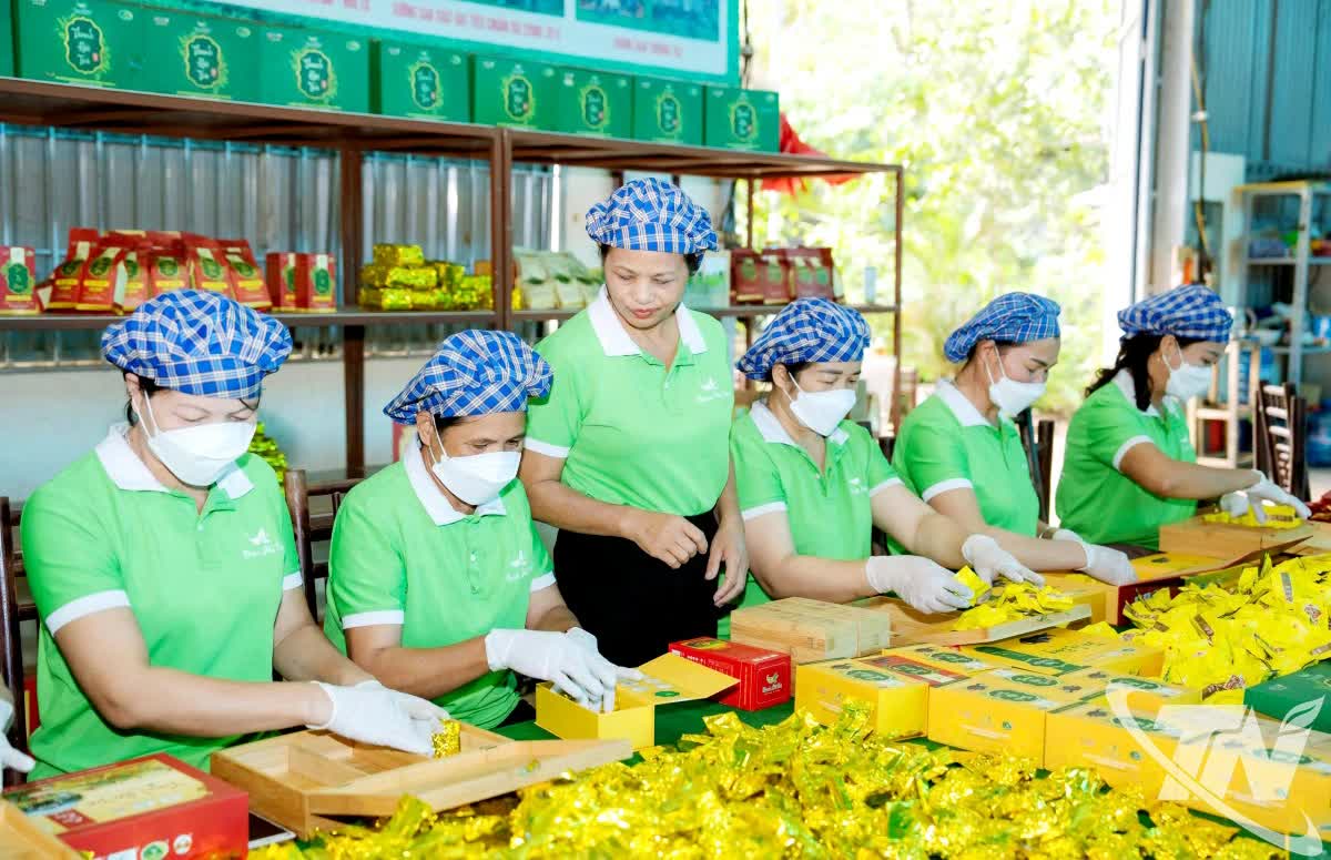 Lễ hội “Thái Nguyên - Hương sắc danh trà 2025”: Bản hòa ca của trà, văn hóa và du lịch - Ảnh 3.