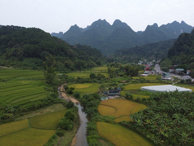 Mô hình nuôi cá tầm của người Nùng- mở hướng giảm nghèo ở vùng cao - Ảnh 1.