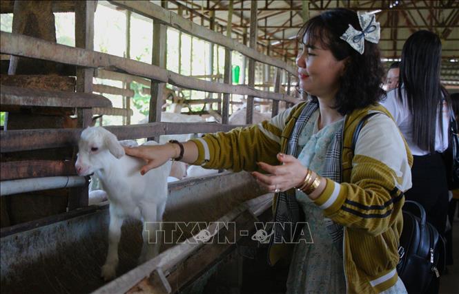 Du lịch nông thôn, làng nghề: Cần vượt qua tư duy khai thác đơn lẻ - Ảnh 1.