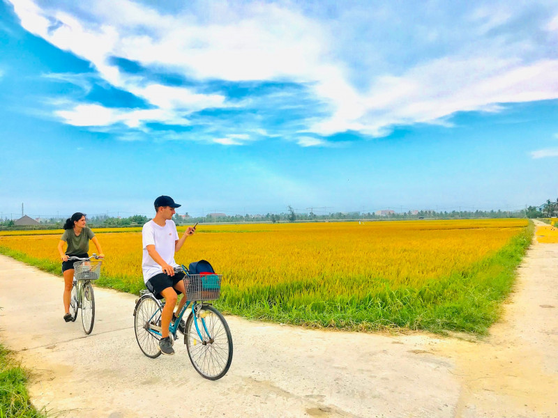 Du lịch xanh Đà Nẵng, từ nền tảng đến tương lai: Dấu ấn chặng đường thiết lập - Ảnh 4.