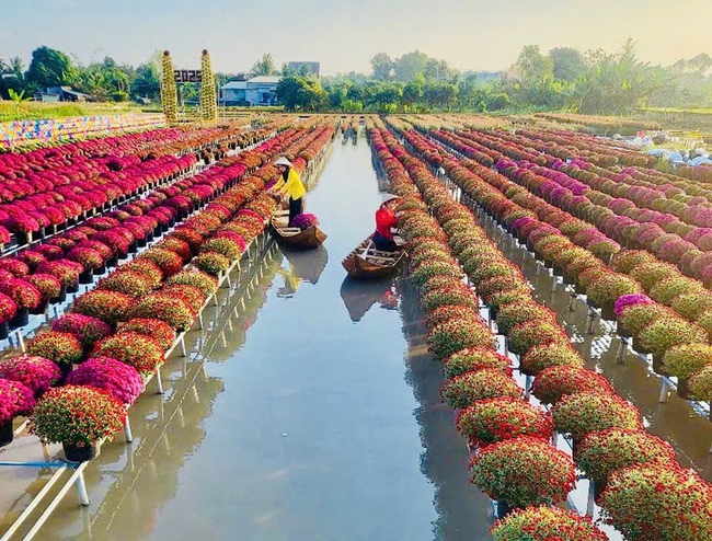 "Nghề trồng hoa kiểng Sa Đéc" được công nhận là di sản văn hóa phi vật thể quốc gia - Ảnh 1.