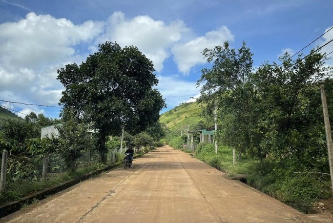 Tây Ninh đẩy mạnh cuộc vận động "Toàn dân đoàn kết xây dựng nông thôn mới, đô thị văn minh" - Ảnh 1.