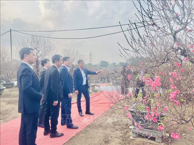 Lễ hội 'Đào Nhật Tân – Sắc xuân Hồng Hà': Tôn vinh giá trị làng nghề nổi tiếng đất Kinh kỳ - Ảnh 1.
