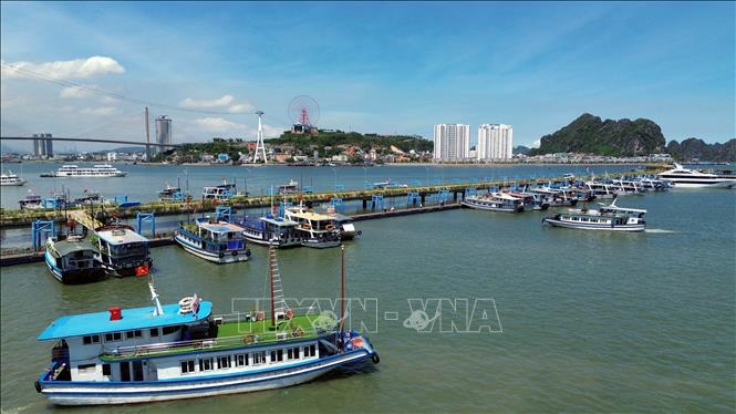 Tết Nguyên đán Bính Ngọ - tín hiệu tích cực, tạo tăng trưởng du lịch năm 2026 - Ảnh 2.