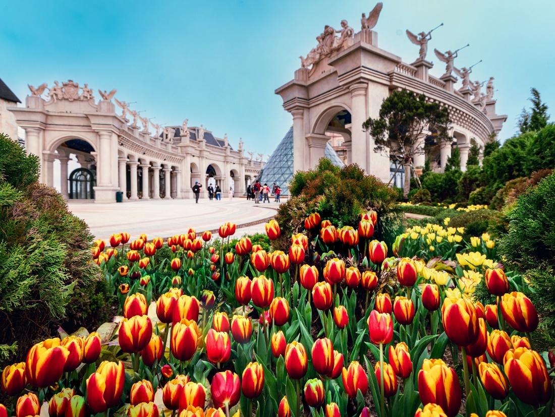 Bà Nà “chiêu đãi” miền Trung - Tây Nguyên “đại tiệc hoa tulip” với giá chỉ 400 ngàn đồng - Ảnh 7.